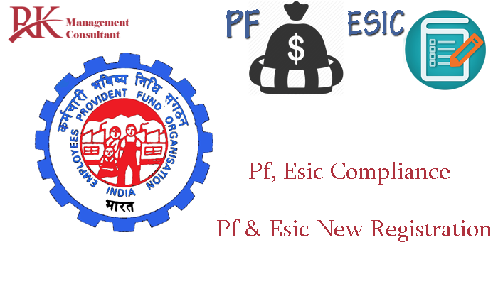 pf esic consultant