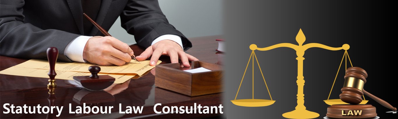 Labour Law consultant